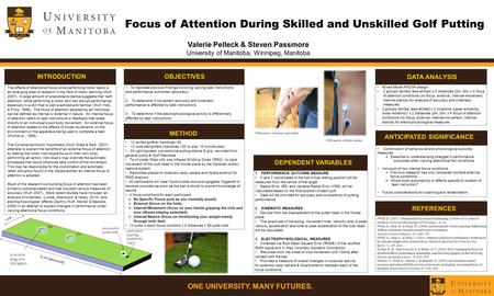 Wulf, G. (2007). Attentional focus and motor learning: a review of 10 years of research. E-Journal Bewegung und Training, 1, 4–14. Wulf, G., Höß, M. &