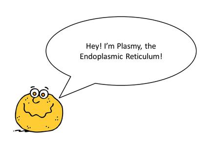 Hey! I’m Plasmy, the Endoplasmic Reticulum!. I’m a very important organelle found in all eukaryotic organisms including you.