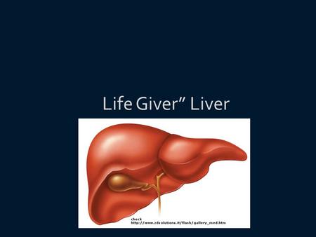 Life Giver” Liver.