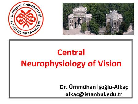 Central Neurophysiology of Vision