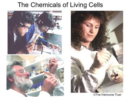 The Chemicals of Living Cells ©The Wellcome Trust.