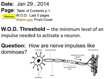 Warm-ups Date: Jan 29, 2014 Page: Table of Contents p 1 W.O.D: Last 5 pages Warm-ups: Front Cover W.O.D. Threshold – the minimum level of an impulse needed.