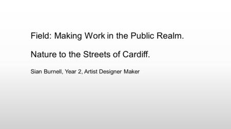 Sian Burnell, Year 2, Artist Designer Maker Field: Making Work in the Public Realm. Nature to the Streets of Cardiff.