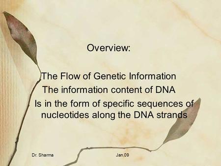 Overview: The Flow of Genetic Information