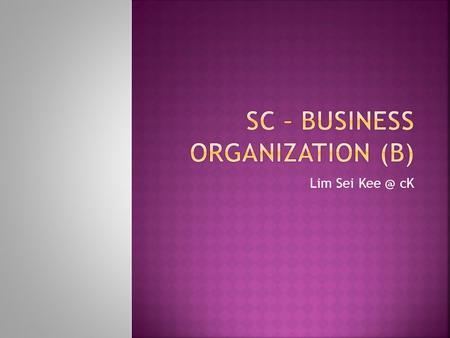 Lim Sei cK. A sole proprietorship is a business entity owned by one person who is legally responsible for the debts and taxes of the business.