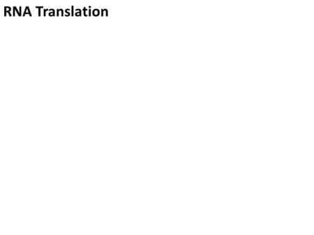 RNA Translation. RNA Processing End product is a mature RNA molecule that leaves the nucleus to the cytoplasm. Introns bad…… Exons good! DNA RNA Protein.