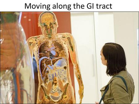 Moving along the GI tract