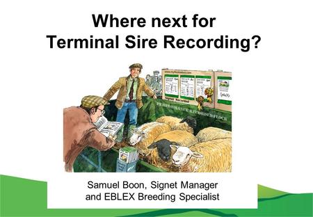 Where next for Terminal Sire Recording? Samuel Boon, Signet Manager and EBLEX Breeding Specialist.