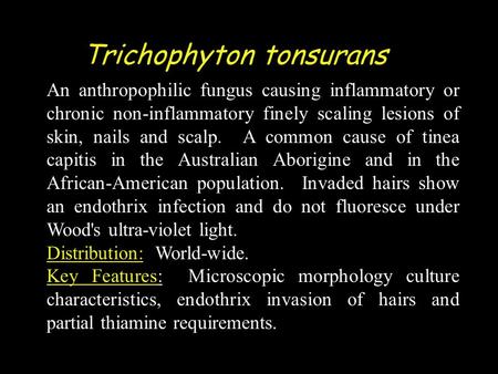 Trichophyton tonsurans