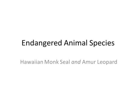 Endangered Animal Species