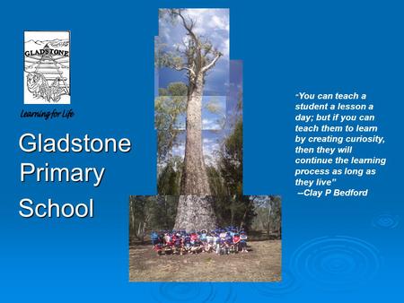 Gladstone Primary Gladstone Primary School School “ You can teach a student a lesson a day; but if you can teach them to learn by creating curiosity, then.