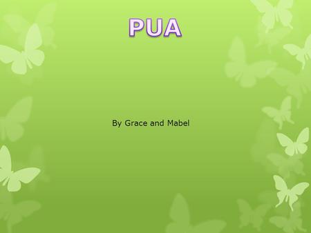 By Grace and Mabel.  Population: 84,978 (2007)  What to do/see:  In the centre of Pau is a large castle, the Château de Pau, that dominates that quarter.