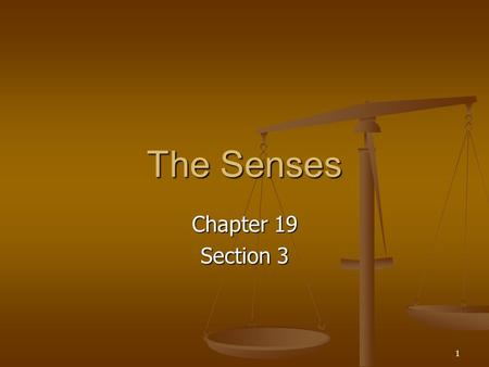 The Senses Chapter 19 Section 3.