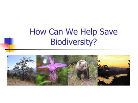 How Can We Help Save Biodiversity?