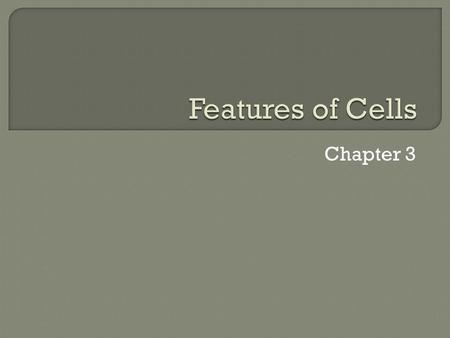 Chapter 3.  Encloses the cell and forms a boundary  Separates the interior of the cell from its surroundings  Interior is filled with cytoplasm 