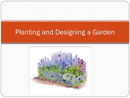 Planting and Designing a Garden. Step 1 Research the location of where you are planting Determine the amount of sunlight and shade Determine the amount.