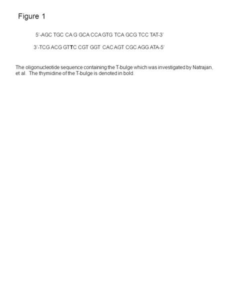 Figure 1 The oligonucleotide sequence containing the T-bulge which was investigated by Natrajan, et al. The thymidine of the T-bulge is denoted in bold.