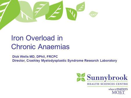 Iron Overload in Chronic Anaemias Dick Wells MD, DPhil, FRCPC Director, Crashley Myelodysplastic Syndrome Research Laboratory.