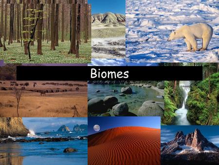 Biomes.