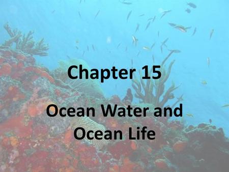 Ocean Water and Ocean Life