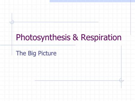 Photosynthesis & Respiration The Big Picture. Photosynthesis 6CO 2 + 6H 2 O + Light C 6 H 12 O6 + 6O 2 Six molecules of carbon dioxide plus six molecules.