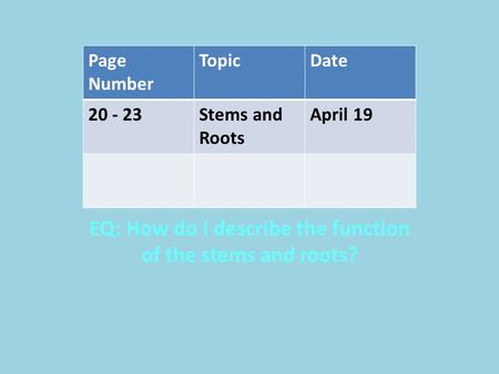 EQ: How do I describe the function of the stems and roots?