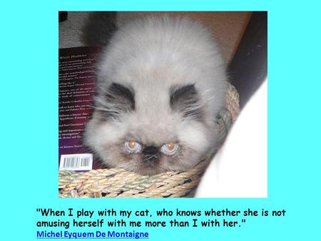 When I play with my cat, who knows whether she is not amusing herself with me more than I with her. Michel Eyquem De Montaigne.