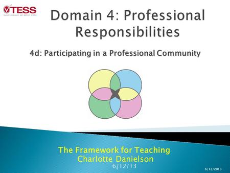 Domain 4: Professional Responsibilities