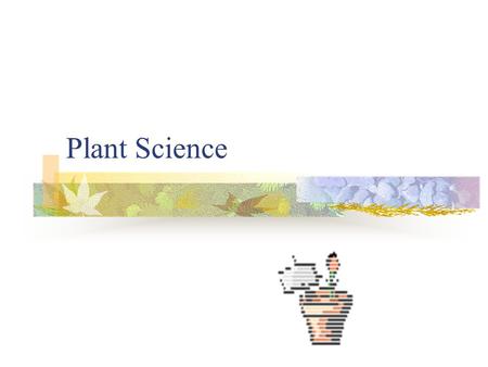 Plant Science. Career Areas Forest careers are related to growing, managing, and harvesting trees for wood and wood by-products.