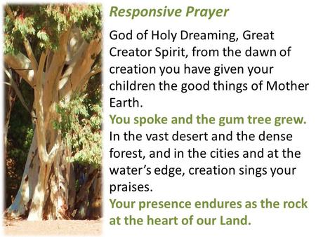 Responsive Prayer God of Holy Dreaming, Great Creator Spirit, from the dawn of creation you have given your children the good things of Mother Earth.