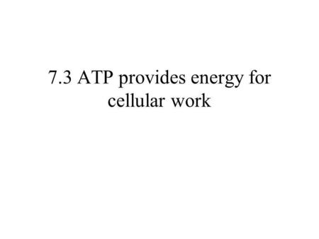 7.3 ATP provides energy for cellular work