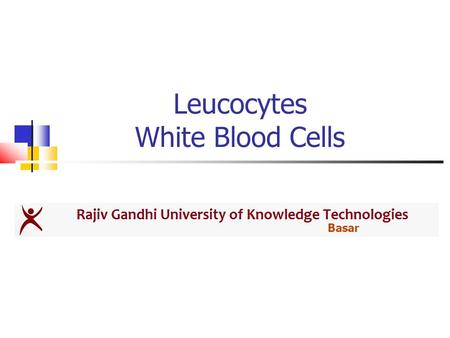 Leucocytes White Blood Cells