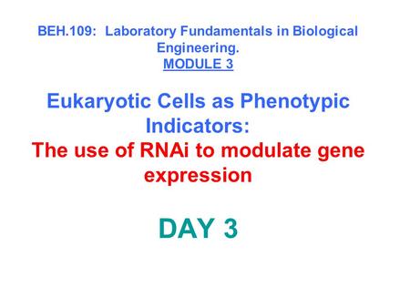 BEH.109: Laboratory Fundamentals in Biological Engineering. MODULE 3 Eukaryotic Cells as Phenotypic Indicators: The use of RNAi to modulate gene expression.