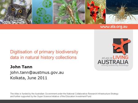 Digitisation of primary biodiversity data in natural history collections John Tann Kolkata, June 2011 The Atlas is funded by the.