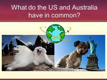 What do the US and Australia have in common?. Similar Shelter Statistics Save Rate Deaths per 1,000 Australia 53% 8 US 60% 10.