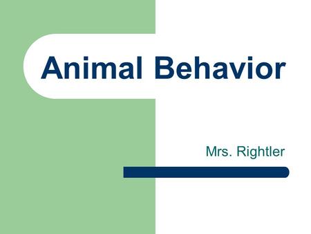 Animal Behavior Mrs. Rightler. Methods of Study Comparative psychology Ethology Behavioral ecology Sociobiology.