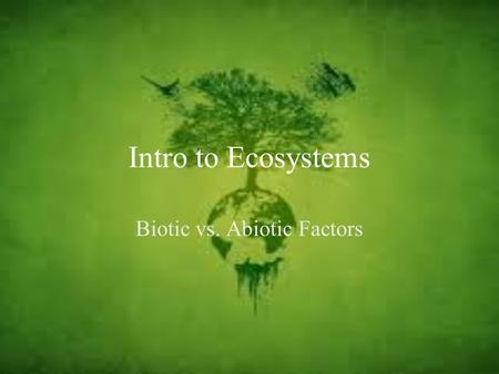 Biotic vs. Abiotic Factors