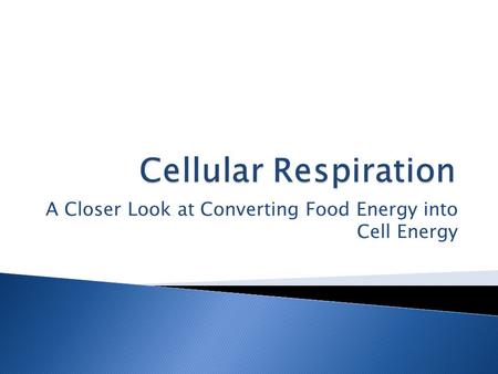 A Closer Look at Converting Food Energy into Cell Energy.