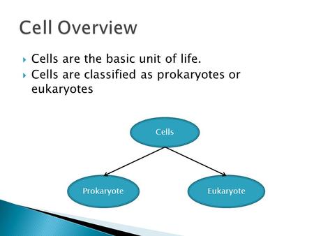 Cell Overview Cells are the basic unit of life.