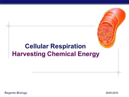 Cellular Respiration Harvesting Chemical Energy