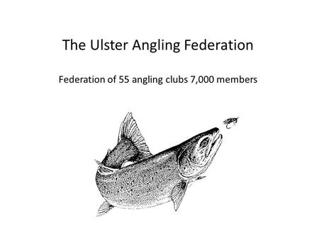 The Ulster Angling Federation Federation of 55 angling clubs 7,000 members.