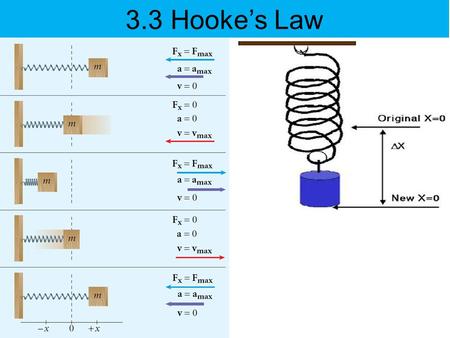 3.3 Hooke’s Law. TODAY’s OBJECTIVES To learn about how stretch or compression of a spring varies with gravitational force.