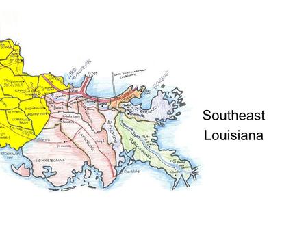 Southeast Louisiana. 1.What is the “name” of the LSU mascot? 2.The team is called the “_____” Tigers. Put you name of LaGumbo form Write in BLACK INK.