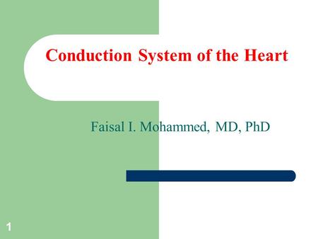 Conduction System of the Heart