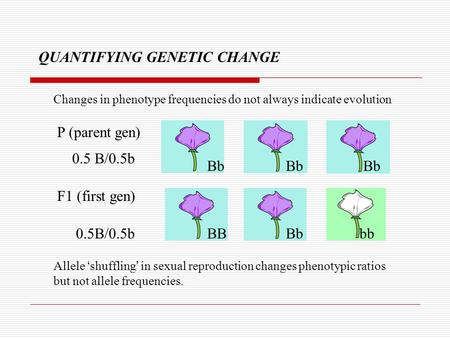 QUANTIFYING GENETIC CHANGE