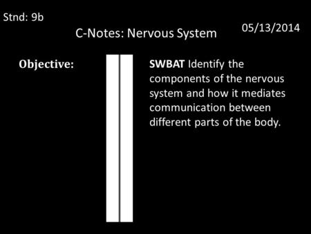 C-Notes: Nervous System