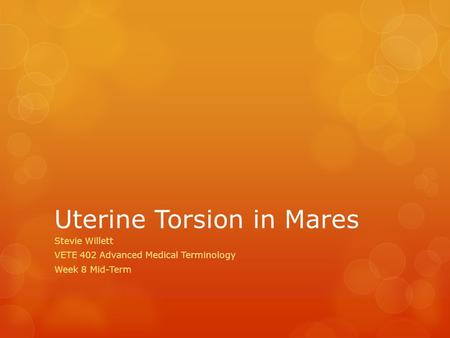 Uterine Torsion in Mares