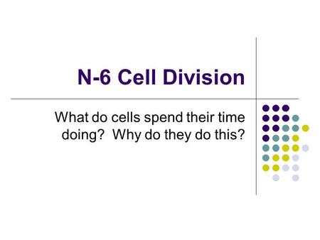 What do cells spend their time doing? Why do they do this?