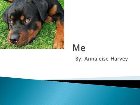 By: Annaleise Harvey.  My birthday is May 7  I am 12 years old  My family is form Jamaica  I speak Spanish and English  I want to be a lawyer when.