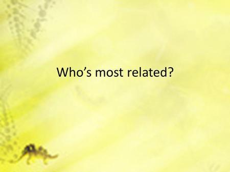 Who’s most related?. 3-24-14 Do Now Pick up the worksheet from the back table. Turn in your Phet Sim: Wolf & Bunny W.S. Update your grades page and add: